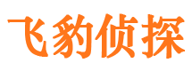 安吉市私家侦探